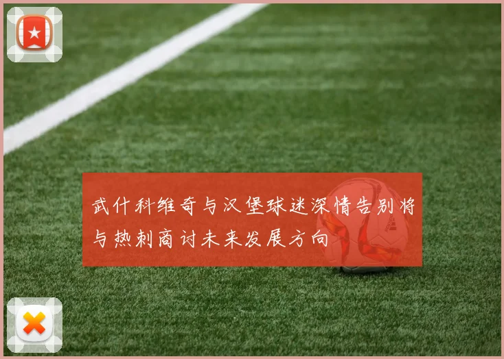 武什科维奇与汉堡球迷深情告别将与热刺商讨未来发展方向